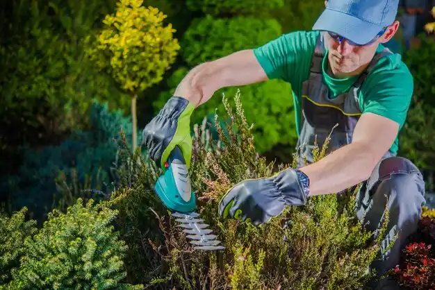 landscaping services Lisbon